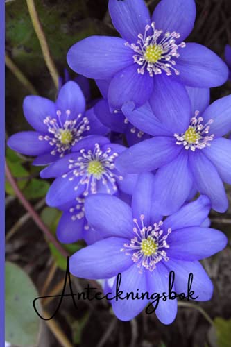 Anteckningsbok: Blåsippa Hepatica nobilis 120 sidor Linjerat Storlek A5 - 6''*9'' Blommor Blomma Natur