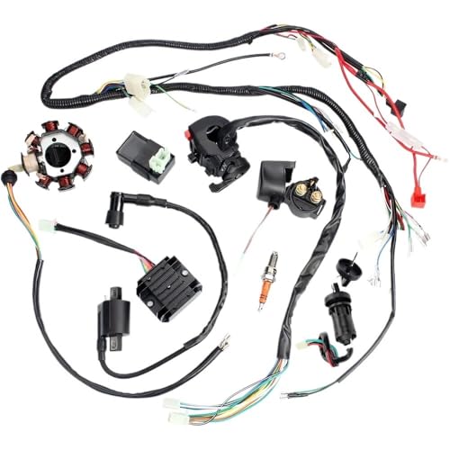 Stator câblage moteur CDI robuste pour moto tout-terrain et quad 200cc