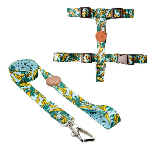 Conjunto Peitoral H e Guia, Banana, PP, Toh
