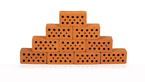 GARNELEN4YOU® Mini Ziegel | Premium Garnelen-Ziegel für Aquarien | Made in Germany | plastikfreie Verpackung | Miniatur Backstein Ziegelstein (10 Mini-Ziegel)