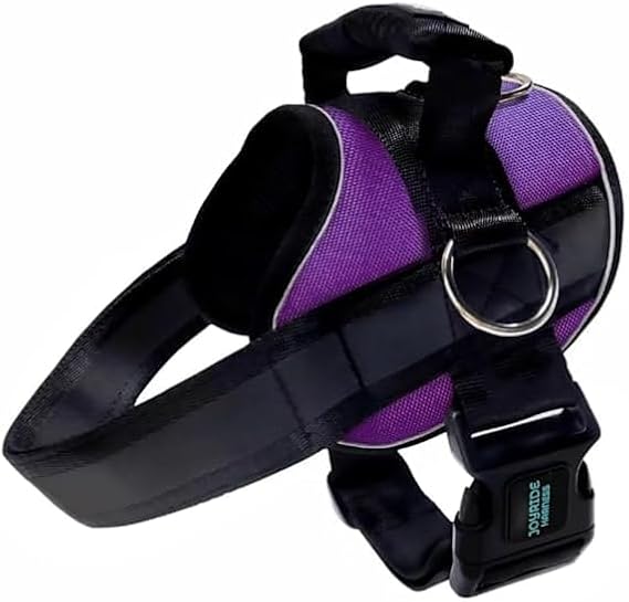 Joyride Harness for Dogs, NoPull Pet Harness with Customizable Name