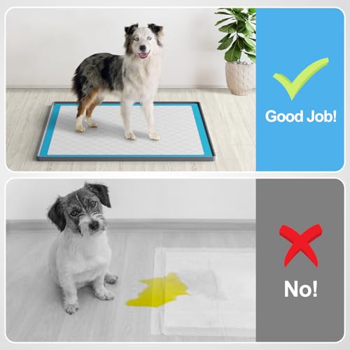 Pee-Pad-Holder-for-DogsSilicone-Dog-Puppy-Pad-Holder-24-x-24-No-Spill-Raised-Lip-High-EdgePortable-Leak-Proof-Mat-Holder-for-Dog-Training-PadsSquare-Potty-Trays-for-Home-Floor-Protection Pee Pad Holder for DogsSilicone Dog Puppy Pad Holder 24 x 24 No Spill Raised Lip High EdgePortable Leak Proof Mat Holder for Dog Training PadsSquare Potty Trays for Home Floor Protection