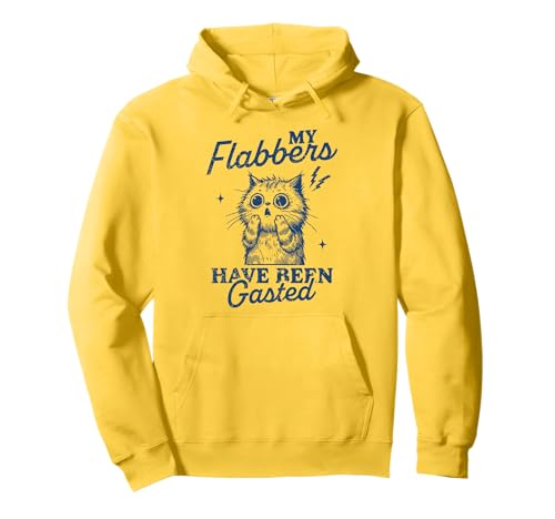 My Flabbers Have Been Gasted Distressed Retro Funny Cat Pullover Hoodie
