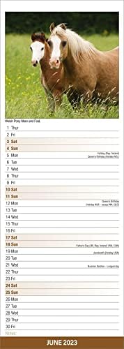 Horses Slimline Calendar 2023 | Slimline Calendar | 12 Month Calendar | Animal Calendar | with Free Organisational Stickers | January 2023 to December 2023