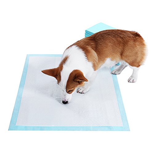 FEANDREA Puppy Pads, Welpen-Unterlage, 60 x 60 cm, 100 Stück, blau-weiß PTD60B
