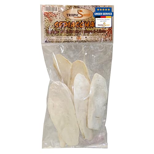 Tropic Boutique – Sépia Rigide la Source Calcium Naturelle 6 – Lot de 10 pour Tortues, pogonas, Oiseaux, etc.