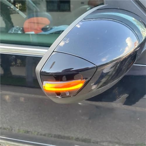 Intermitentes dinámicos LED de espejo para Ford Kuga y C-Max 4