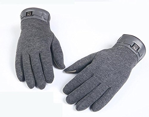 FAPIZI Winter Mens Full Finger Smartphone Touch Screen Cashmere Gloves Mittens (Gray)