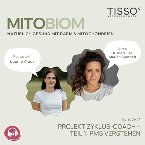 #54 Projekt Zyklus-Coach – Teil 1: PMS verstehen Titelbild