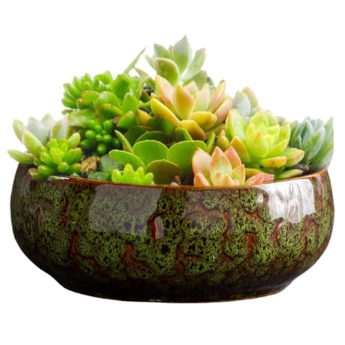 Bowl Planter - Indoor Hydroponic LotusBowl | Large Diameter Glazed Daffodil Pot And Bonsai Bowl For Seeds, Indoor Plant Ceramic 