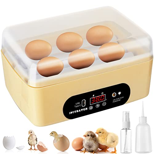 Top 10 Incubator For Quail Eggs of 2022 Katynel