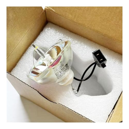 Ampoule projecteur ELPLP61 ELPLP60 pour présentations et cours clairs