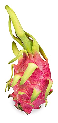 Image of Fresh Dragon Fruit Red Flesh(Indian), 1 Pc (approx. 200 g)