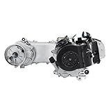 cyclingcolors kompletter Motor 50 chinesischer Roller kompatibel mit Gy6 139QMB 12 Zoll (Länge 430 mm)