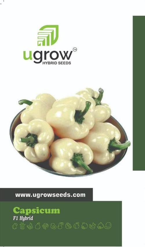 JD AGRO Capsicum White Vegetable Seeds for Kitchen Gardening, 30 Seeds (B0CL1ZCDHR) Amazon Price History, Amazon Price Tracker