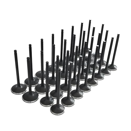 Tokinng Intake Exhaust Engine Valves Kit Fits for Toyota
