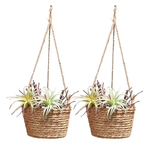 BestAlice 2 Pz Cesti da Appendere per Piante Fioriera da