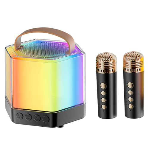 Karaoké portable Q7 avec double microphone pour chanter en famille lors de vos soirées