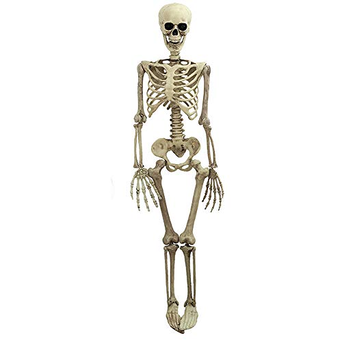 CONRAL 165 cm / 65"Esqueleto de Halloween de tamaño Natural Posible, Esqueleto de Halloween de Huesos Humanos de Cuerpo Completo con articulaciones móviles para Halloween Decoración Cover