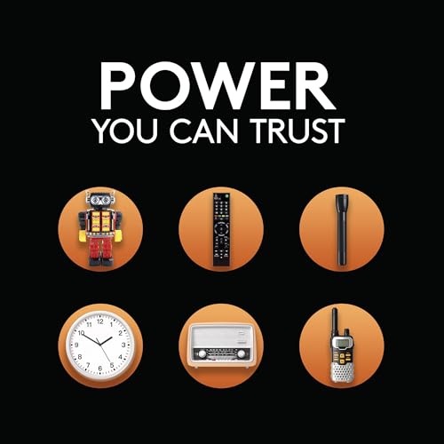 Image of Duracell Coppertop D Batteries, 10 Count (1 Pack), D Battery with Long-Lasting Power, All-Purpose Alkaline Battery for Household and Office Devices