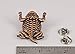 Horny Toad Pin, Copper Plated, 1.75 Inches, 100% Handmade in the USA, Short Horned Lizard, Reptile, Realistic, Metal, Lapel, Hat, Brooch, Gift, Jewlery, Over 3100 Unique Designs