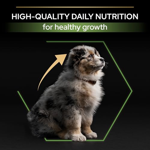 Pro Plan Medium Puppy Healthy Start, Welpenfutter trocken, reich an Huhn, 1er Pack (1 x 12 kg)