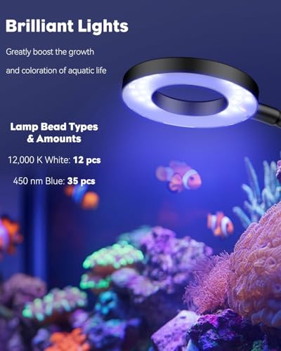Image of Pawfly Aquarium Light for 1-3 Gallon Saltwater Fish Tanks, Clip On LED Reef Light for Corals, Dimmable USB Aquarium Lamp with Full Spectrum Lighting and Timer (Adapter Not Included)