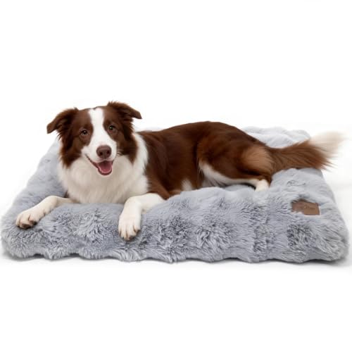 BingoPaw Panier Chien Grande Taille: 90x60x10cm Coussin Chien Déhoussable et Lavable en Machine,...