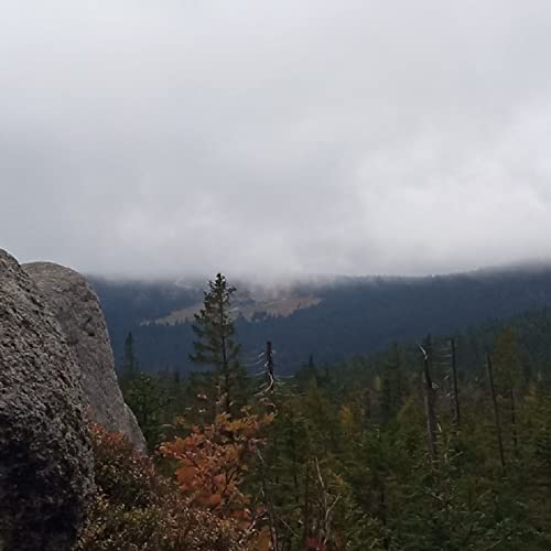 Mi no concentración.