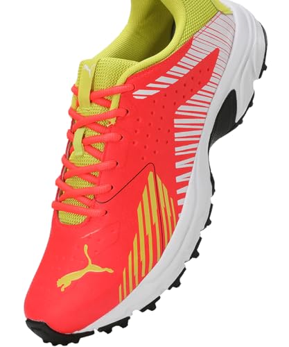 Image of Puma Men Cricket Power Cricket Shoe