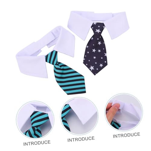 FRCOLOR 2 nEBpybglN_ ȑfނŉKȌ ^ANZT[ ȑ