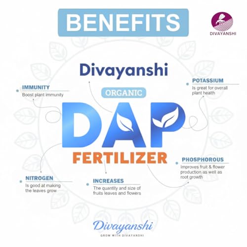 Image of Divayanshi Organic DAP for Plants | Phosphorus-Rich Plant Nutrition for Strong Roots, Faster Growth & Higher Yield | Suitable for Garden, Pots & Farming- 1.5 KG