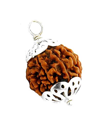 Natural & Original 8 Mukhi Rudraksha | Eight Faced Rudraksha Silver Pendant With Lab Certificate (1 Pc)