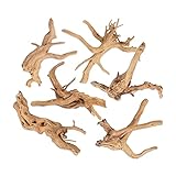 CANTON AQUATICS Aquarium Hardscape Decoration Spider Wood - All Natural & Organic Aquarium Wood for Tanks - Best for Hiding Spots - Extra Large Driftwood for Aquariums - 4 to 6 Inches (X-Small)