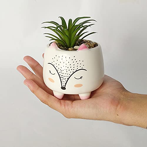 Suculenta Artificial Vaso Decoração Raposa