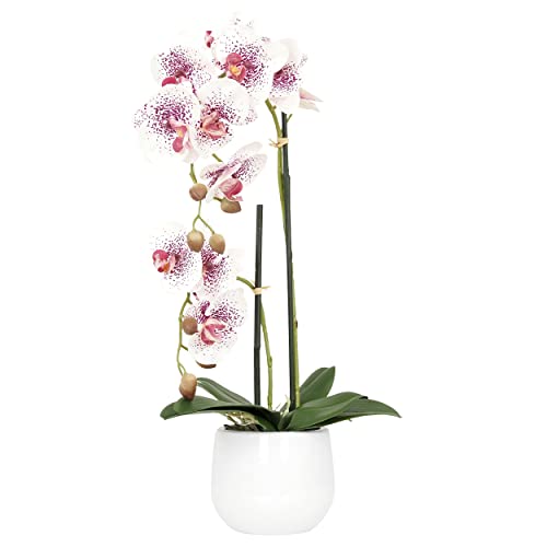 Plante Artificielle Orchidée Blanc / Fuchsia H.50cm - Ligne Déco - Fausse Fleur Toucher Naturel Pot Céramique - Décoration Intérieur Maison - ASPARA Cover