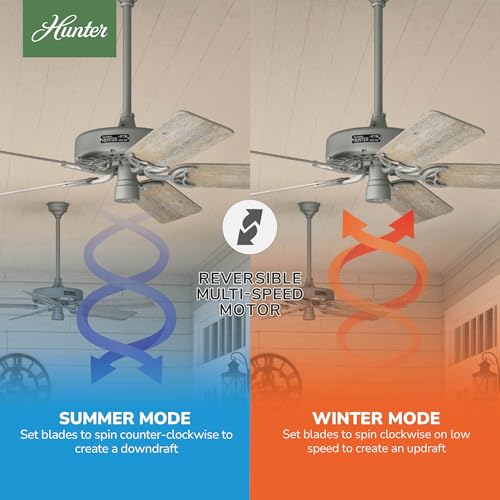 Image of Hunter Original, Outdoor or Indoor, Ceiling Fan, 52 inch, Matte Silver