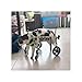 Dog Wheelchair 4 Wheels Crippled Wheels for XXS/XS/S/M/L, Full Support Adjustable Cart/Wheelchair Brace, Pet Standing Assisted Trolley for Back/Front Legs(Small)