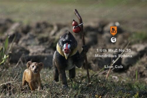 Amazon.com: WLNTDOLA Mr.Z Studio 1:6 Scale Ratio Mandrill Sphinx