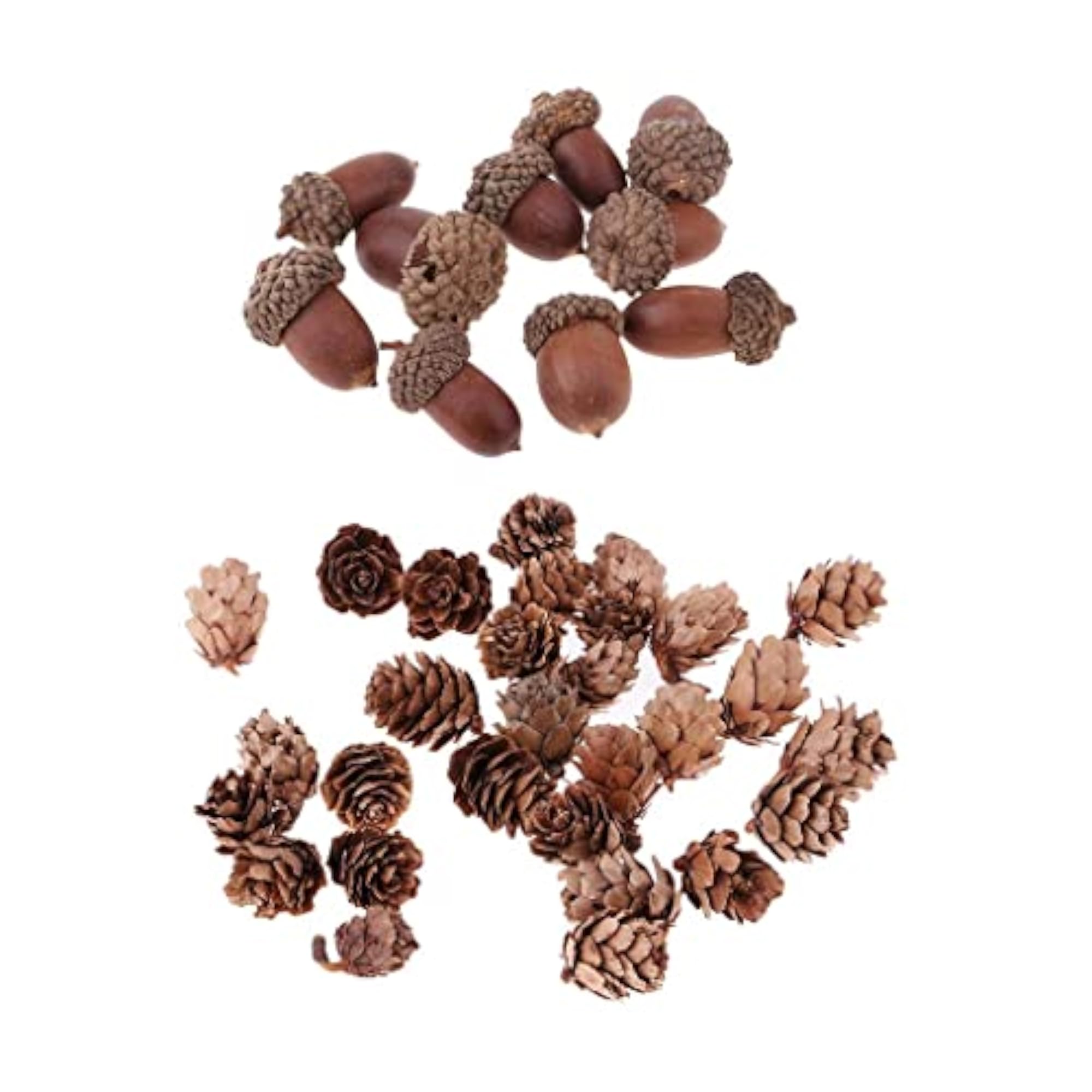 Natural Pine Cones Dried Table Ornament for Home Decoration