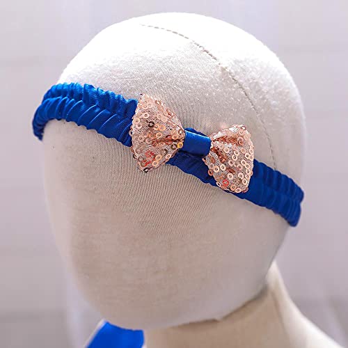 Dressy Daisy Toddler Girls' Special Occasion Dresses Wedding Flower Girl Tiered Dress Ball Gown With Headband Size 2T 3T, Royal Blue #TOP5