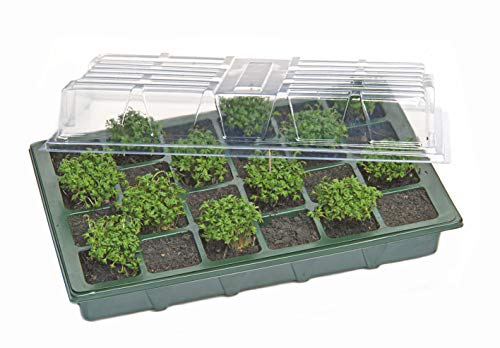 Spetebo Mini invernadero con 24 macetas, ideal para el alféizar de la ventana, invernadero para habitaciones