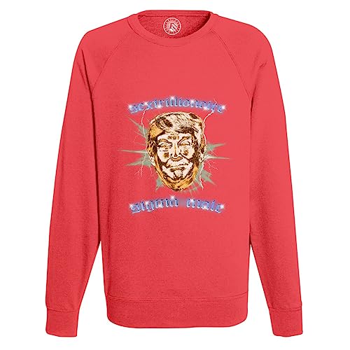 Sweat shirt homme Trump funny parfait pour vos soirées détente entre amis