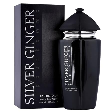 BN Parfums Silver Ginger Long Lasting 100ml Men Perfume, Aquatic, Fresh & Woody, Soothing Fragrance-AQD