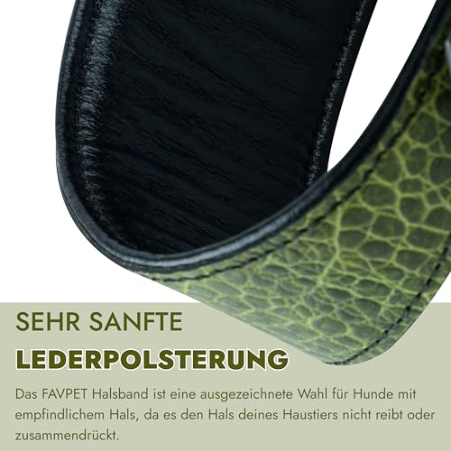 FAVPET Luxus Echtleder Windhund Halsband Breit mit QR Code Anhänger, Weiches Lederhalsband Hund Breit Whippet Italienisches Windspiel Saluki Lurcher Spanischer Galgo Greyhound Podenco (Grün, S)