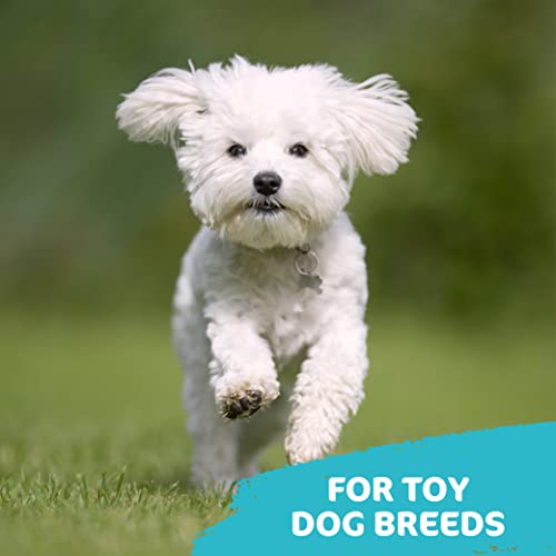 TastyBone TrioBone Dental Nylon Dog Chew Toy for Small Dogs (Peppermint), Strong Healthy Teeth & Gums - Image 4