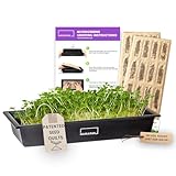 HAMAMA Microgreens Growing Kit Broccoli & Salad - Indoor Sprouts Mat - Seed Quilts Easy Setup Pack of 2 - Plastic Tray