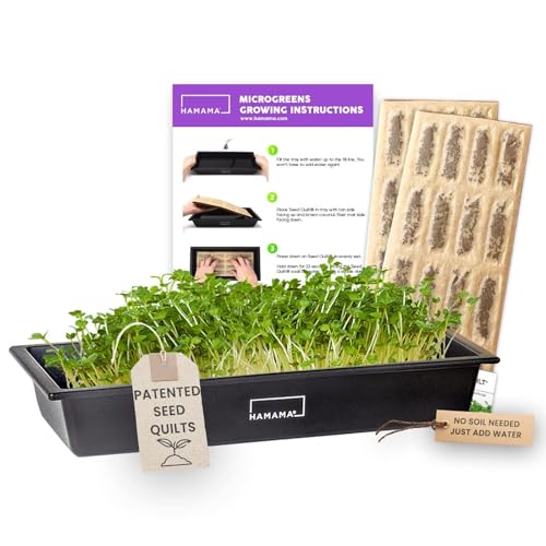 HAMAMA Microgreens Growing Kit Broccoli & Salad - Indoor Sprouts Mat - Seed Quilts Easy Setup Pack of 2 - Plastic Tray