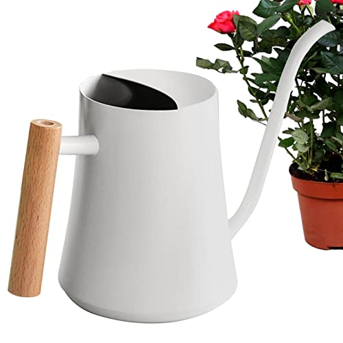 Kleine Giesskanne 1000 Ml Edelstahl Gießkanne Für Zimmerpflanzen Garten Gießkanne Mit Holzgriff Für Zimmerpflanzen Gießkanne Mit Langem Auslauf Gießkanne Für Außenpflanzen, Sukkulenten, Kräutergarten