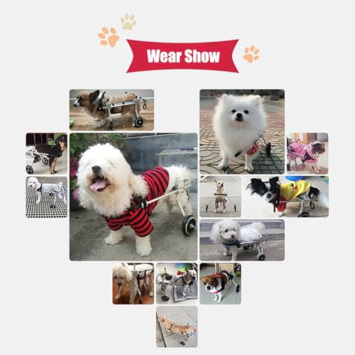 Carrito para perros pequeños ajustable de 2 ruedas ideal para paseos diarios 4